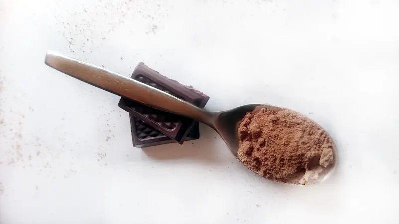 A spoonful of cocoa powder resting on squares of dark chocolate