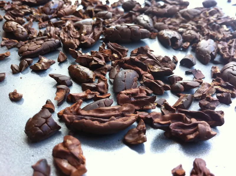 Roasted cocoa beans cracked into nibs